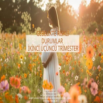 RİSKLİ GEBELİKLER.  Sağlık Bakımı ppt