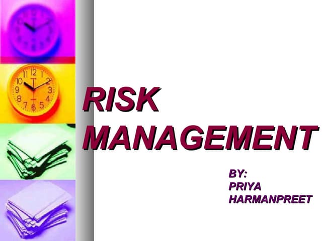 Risk management(software engineering)