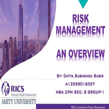 Risk Overview & Risk management
