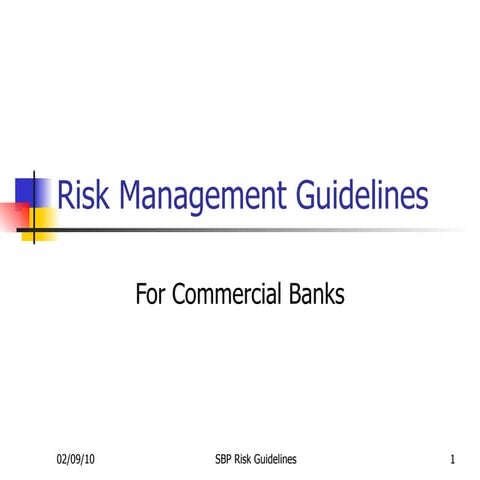 Risk Management Guidelines