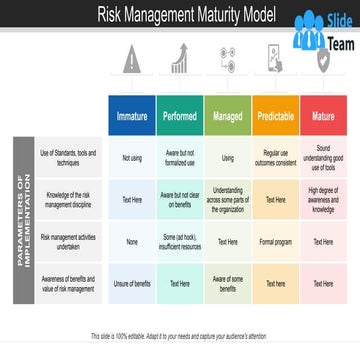 Risk Management Maturity Model