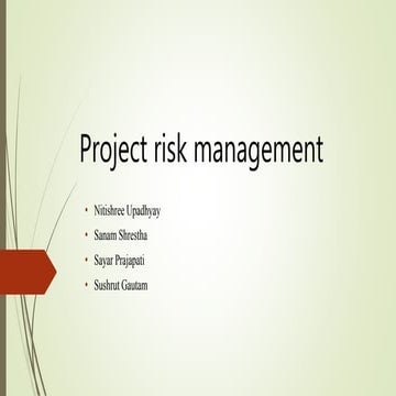 Risk management 