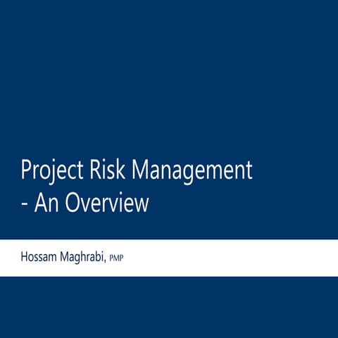 Risk management overview