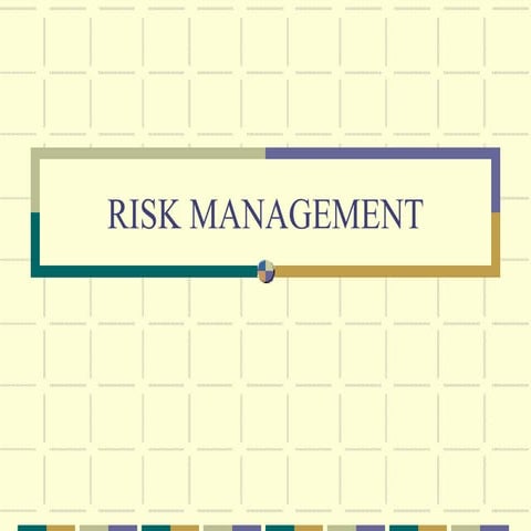 RISK_MANAGEMENT_ppt.ppt