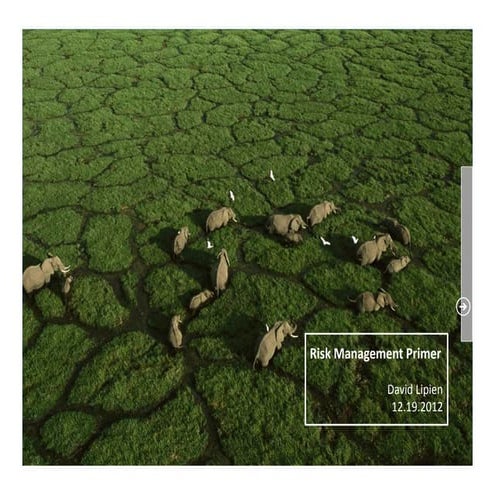 Risk Management Primer
