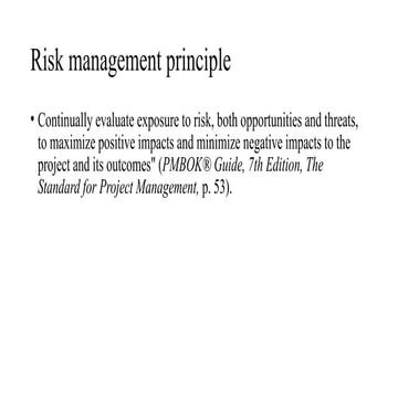 risk management principles in project management