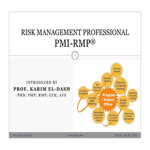 Risk management profesional presentation
