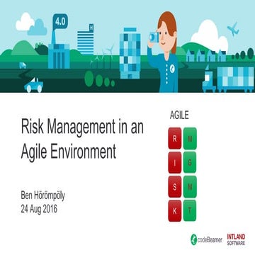 Risk Management in an Agile Environment