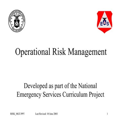 RISK                   managementppt.ppt