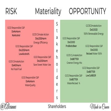 Risk Opportunity Materiality.pdf