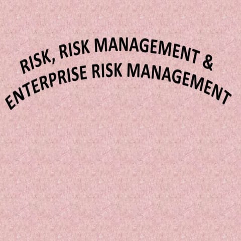 RisK, RiSk MaNaGeMeNt & EnterPRise RisK ManaGemeNT