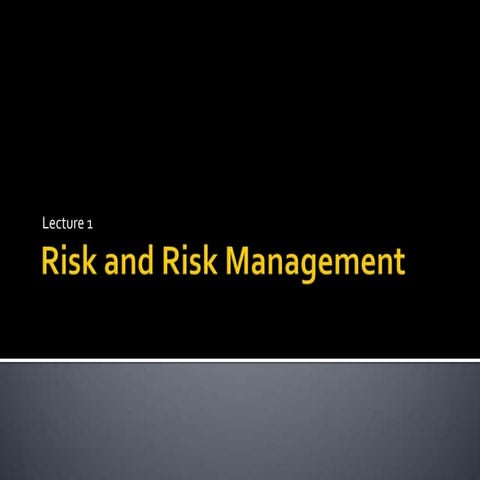 riskrm-110825100304-phpapp02.pdf