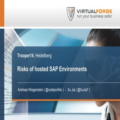 Risks of Hosted SAP Environments