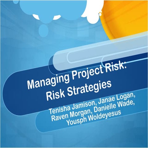 Risk strategies presentation