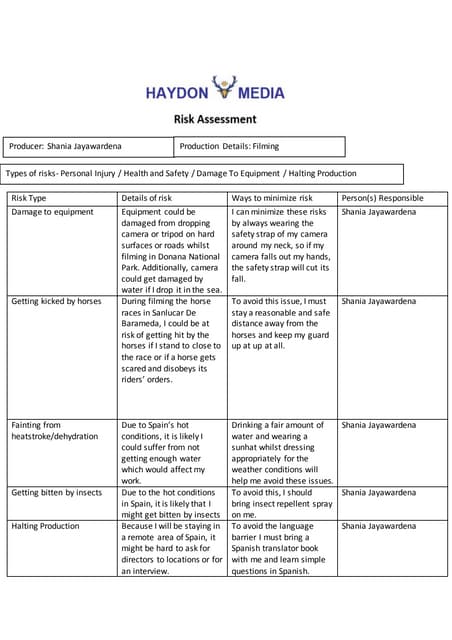 Risk assessment | DOCX