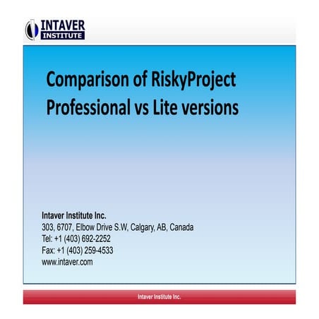 Risky Project Lite vs. Professional