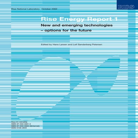 Risoe Energy Report 1