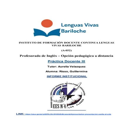 Risso  practica docente iii- informe institucional