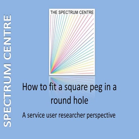 How to Fit a Square Peg in a Round Hole: Perspectives from a Service User Res...