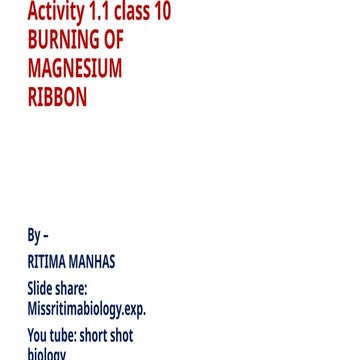 Burning of magnesium ribbon. :  procedure , observation