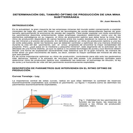 Ritmo optimo de produccion