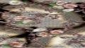 Rituais marcia portella 1 rituaismarciaportella 211123000325 thumbnail 2