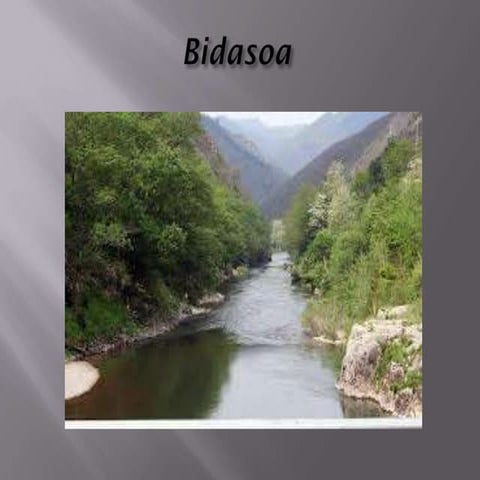 Riu Bidasoa Deivy