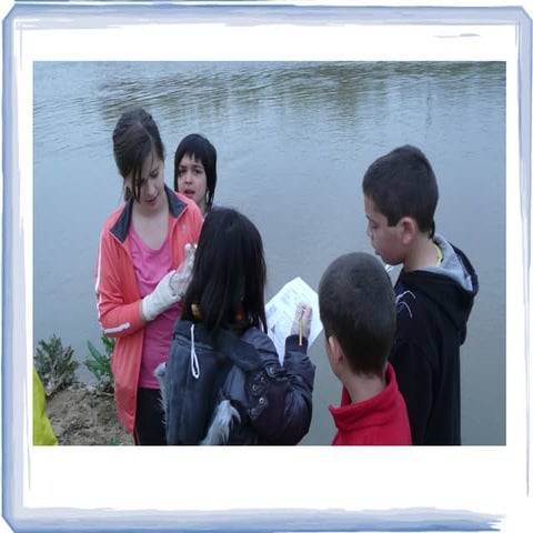 SORTIDA AL RIU LLOBREGAT 