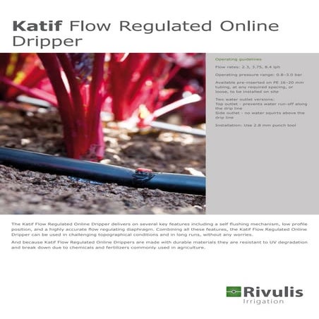 Dau tuoi nho giot co bu ap Rivulis katif - Israel