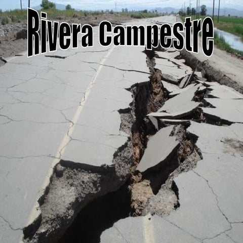 Rivera campestre joana