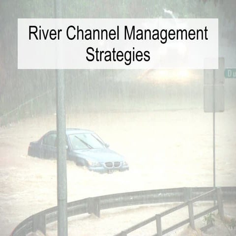 River Channel Management Strategies
