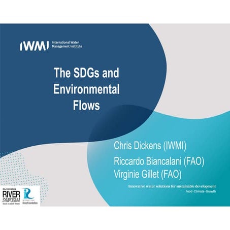 The SDGs and Environmental Flows