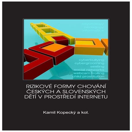 Rizikové chování českých a slovenských dětí v prostředí internetu