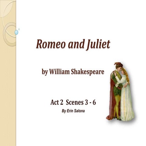 Romeo and Juliet Act 2, Scenes 3-6 Notes