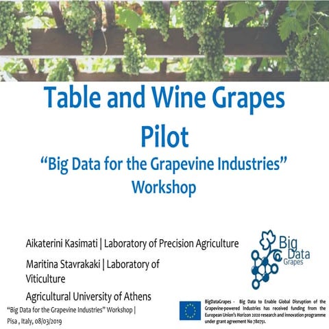 BigDataGrapes_Table and Wine Grapes Pilot