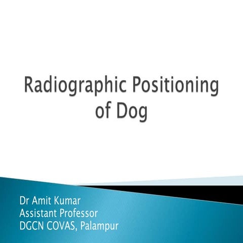 Rkvy radiographic positioning of dog