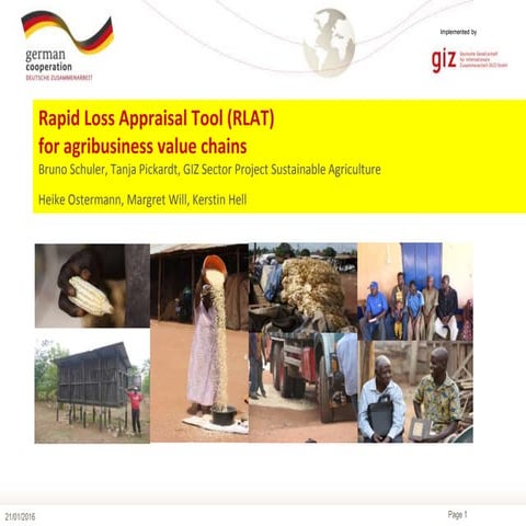 Rapid Loss Appraisal Tool (RLAT)