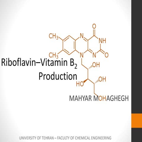 Riboflavin–vitamin b2 fermentation process