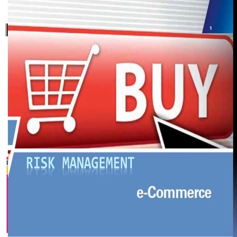 Risk Management ecommerce