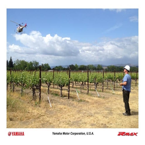 Rmax overview UAV Yamaha