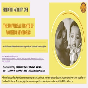 Respectful Maternal Care charter summary