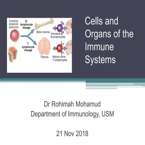 Cells and organs of Immune systems 