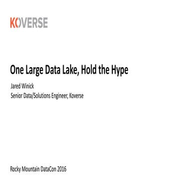 One Large Data Lake, Hold the Hype