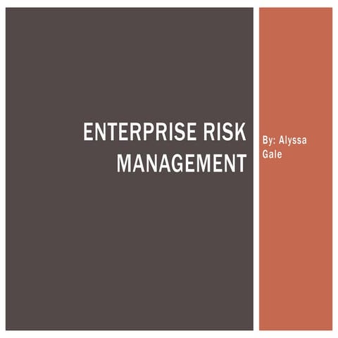Risk Management ERM Presentation
