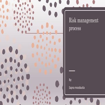 Risk management  process
