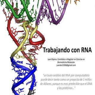 Bioinformática RNA