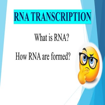 RNA Transcription.pdf