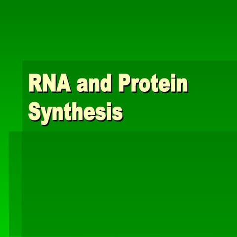 Rna and protein synthesis | PPT