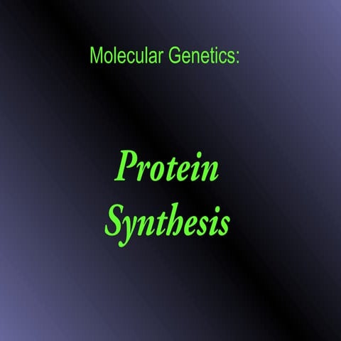 Molecular Genetics: Protein Synthesis