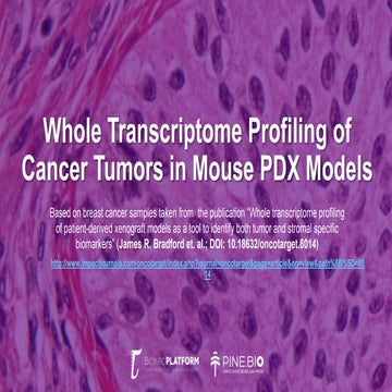 Rna seq - PDX models 